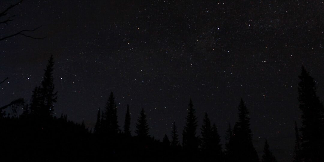 Photo Slim Fit Black Pants