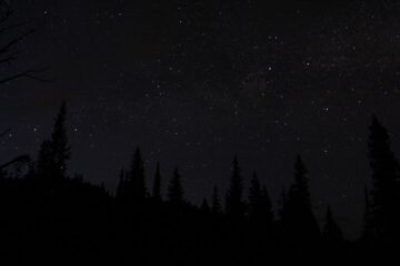 Photo Slim Fit Black Pants