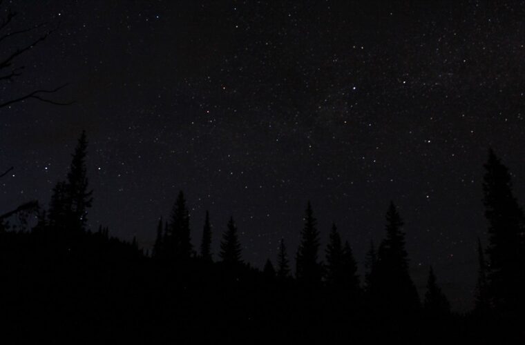 Photo Slim Fit Black Pants