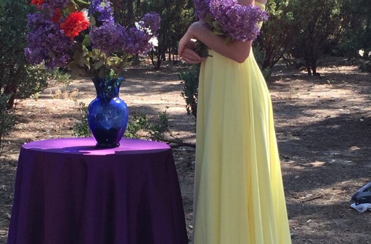 Photo half-prom